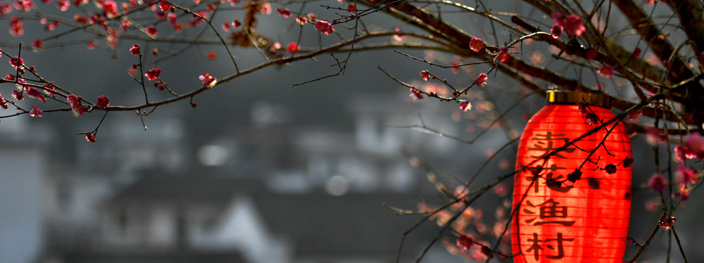 春來花開，綻放正當(dāng)時(shí)