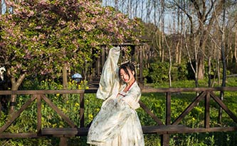 徜徉櫻花花海，來場動(dòng)漫之旅