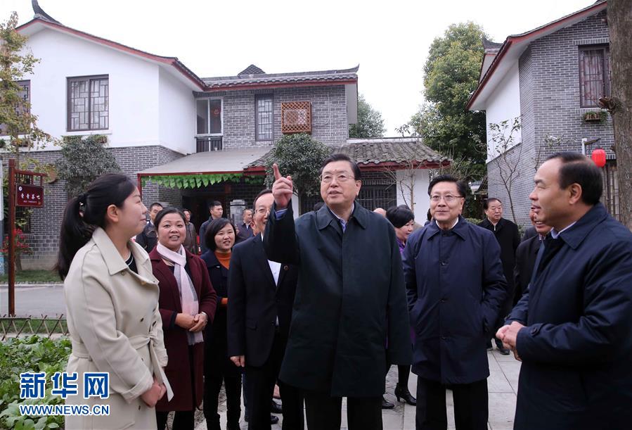 這是11月22日，張德江來到成都郫縣青杠樹村，了解村民委員會(huì)工作情況。 新華社記者 劉衛(wèi)兵 攝 