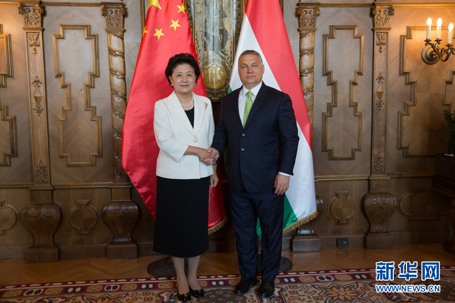 6月21日，國(guó)務(wù)院副總理劉延?xùn)|（左）在匈牙利布達(dá)佩斯國(guó)會(huì)大廈會(huì)見(jiàn)匈牙利總理歐爾班。 新華社發(fā)（弗爾季·奧蒂洛攝）