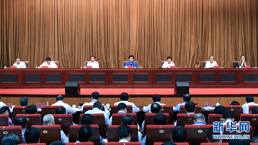 6月25日，全國(guó)民族團(tuán)結(jié)進(jìn)步創(chuàng)建經(jīng)驗(yàn)交流現(xiàn)場(chǎng)會(huì)在內(nèi)蒙古興安盟召開(kāi)，中共中央政治局委員、國(guó)務(wù)院副總理劉延?xùn)|出席會(huì)議并講話。 新華社記者 陳曄華 攝