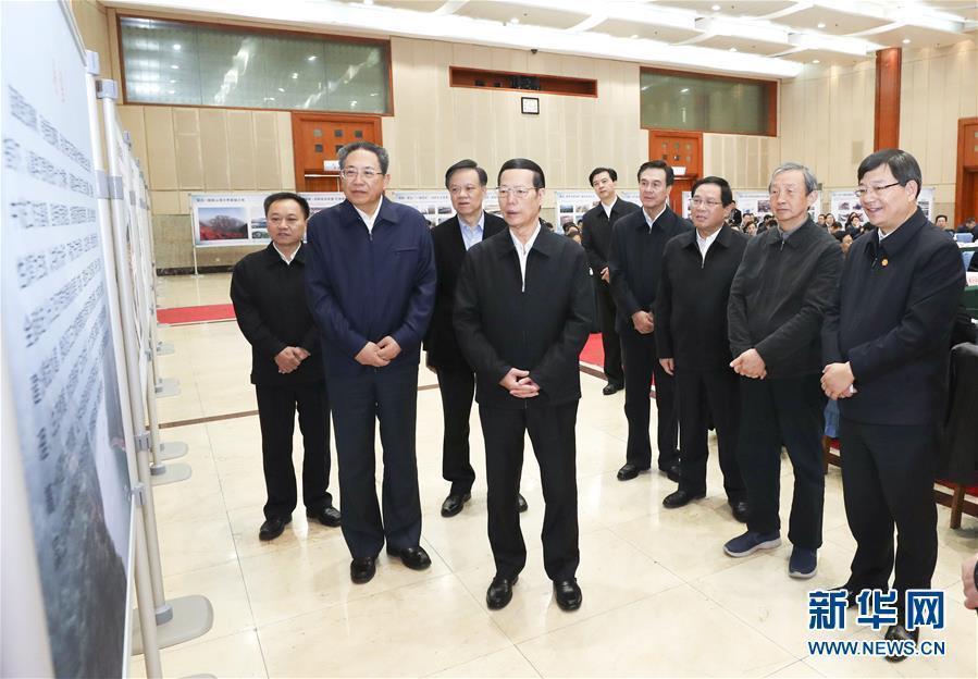 1月9日至10日，國務(wù)院副總理張高麗在安徽調(diào)研推動長江經(jīng)濟(jì)帶發(fā)展工作。這是1月10日，張高麗主持召開推動長江經(jīng)濟(jì)帶發(fā)展工作會議前聽取介紹。新華社記者 龐興雷 攝