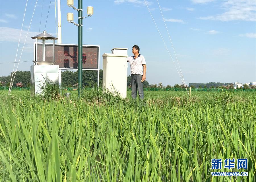 （新華全媒頭條·紀(jì)念改革開放40年特稿·圖文互動(dòng)）（6）向著新航程揚(yáng)帆奮進(jìn)！——從小崗精神看中國(guó)改革開放40年