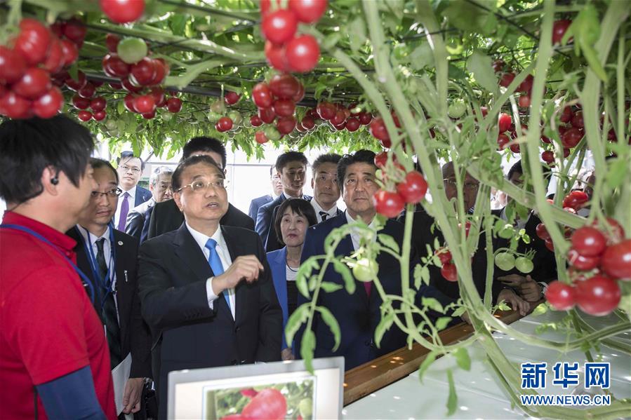 （時政）李克強參觀北海道惠庭市現(xiàn)代生態(tài)農場