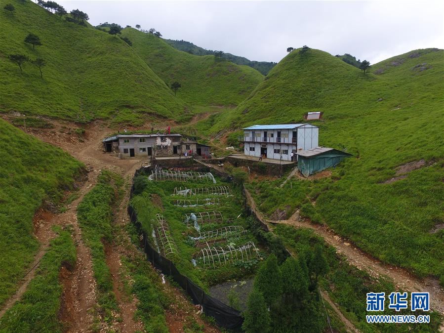 （新華全媒頭條·圖文互動）（3）一個人，一座山——劉真茂的生命守望