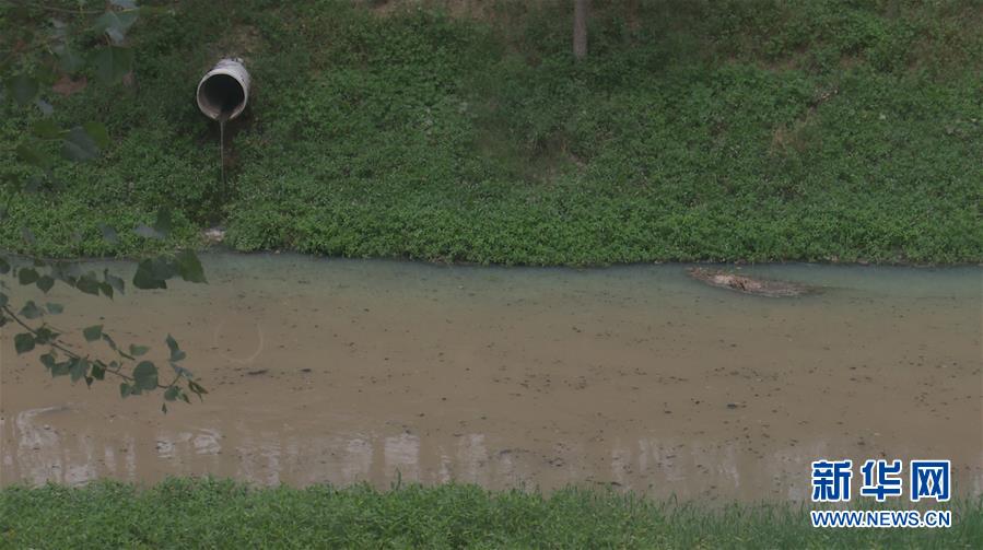 （新華視點(diǎn)·圖文互動(dòng)）（4）上游洪水來(lái)襲下游魚蟹死亡，泄洪為何變泄污？
