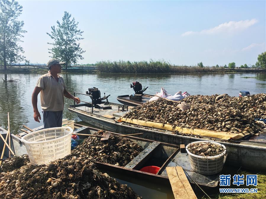 （新華視點(diǎn)·圖文互動(dòng)）（1）上游洪水來(lái)襲下游魚蟹死亡，泄洪為何變泄污？