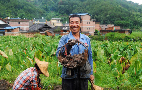 秋收的中國(guó)，你想象不到的美！但更美的是……