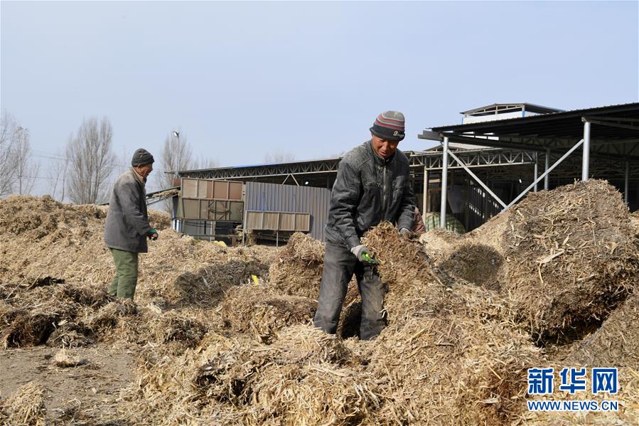 （在習近平新時代中國特色社會主義思想指引下——新時代新氣象新作為·鄉(xiāng)村振興戰(zhàn)略·圖文互動）（2）“與其放火，不如打包”——山西渾源秸稈綜合再利用見聞