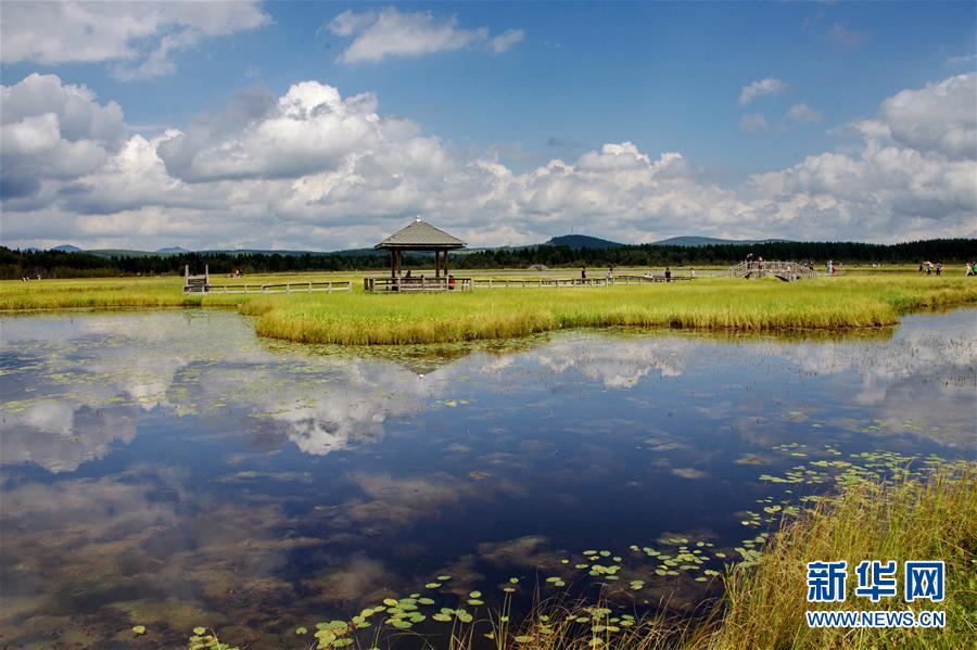 （新華全媒頭條·圖文互動(dòng)）（2）那一抹綠色，走進(jìn)越來(lái)越多人心里——河北塞罕壩續(xù)寫(xiě)新時(shí)代綠色傳奇