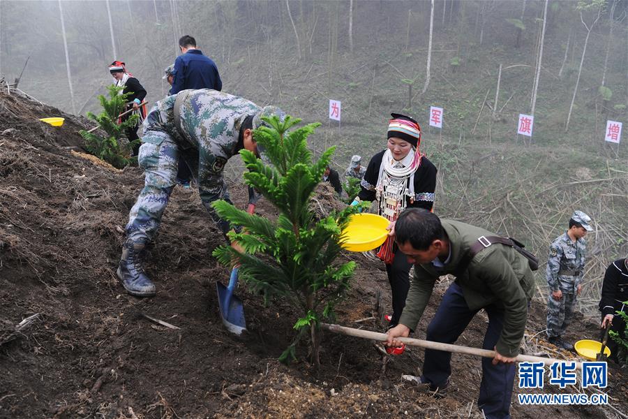 （圖文互動）（6）和平年代，離死神最近的人——南部戰(zhàn)區(qū)陸軍云南掃雷大隊邊境掃雷排爆記事