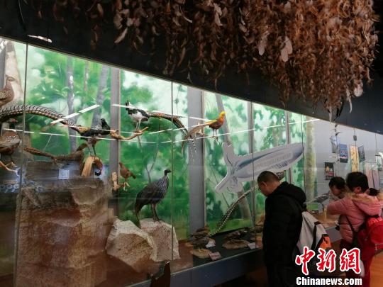 圖為展覽現(xiàn)場?！『h航 攝