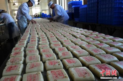 資料圖：師傅們在把制作好的桂花糖年糕擺放整齊。王思哲 攝