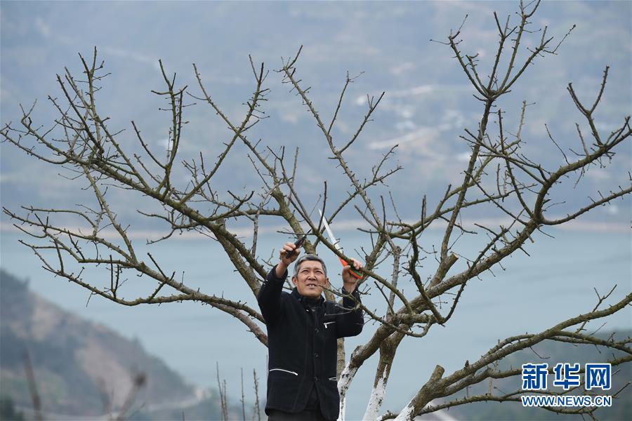 （兩會前夕看落實(shí)·圖文互動(dòng)）（6）春風(fēng)涌動(dòng)兩江潮——重慶落實(shí)習(xí)近平總書記全國兩會重要講話精神紀(jì)實(shí)