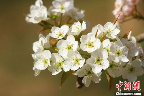 點擊進(jìn)入下一頁
