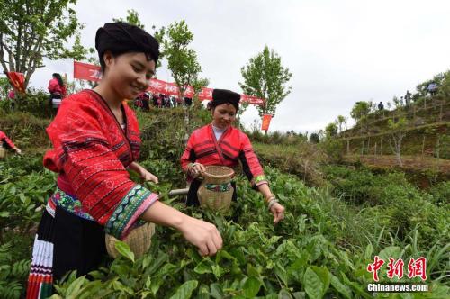 點擊進(jìn)入下一頁