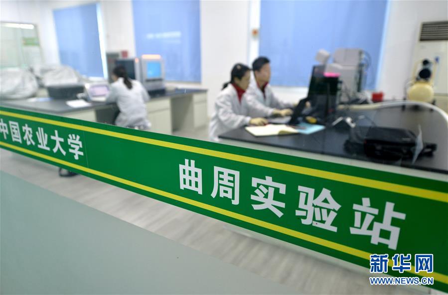 （愛(ài)國(guó)情 奮斗者·圖文互動(dòng)）（3） “解民生之多艱，育天下之英才”——中國(guó)農(nóng)大師生扎根田野書(shū)寫(xiě)奉獻(xiàn)之歌