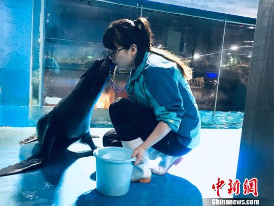 于雅麗與海獅親密瞬間?！“瑧c龍 攝