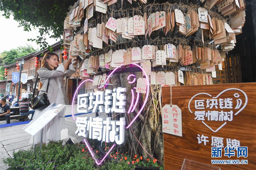 （新華全媒頭條·圖文互動(dòng)）（9）從“數(shù)字中國”看中國發(fā)展新信號(hào)、新亮點(diǎn)、新趨勢
