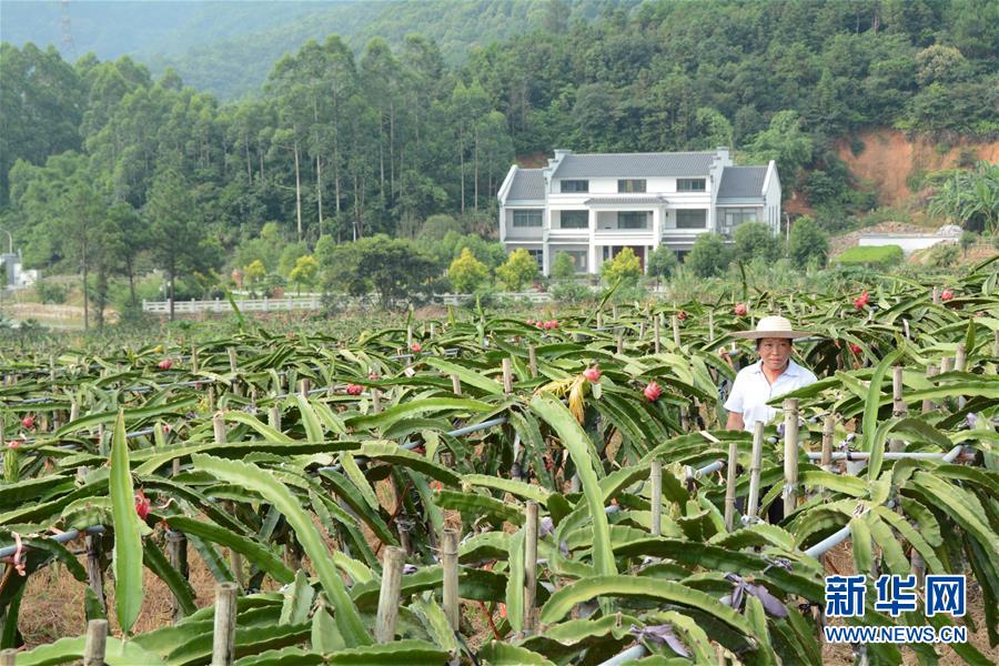 （在習(xí)近平新時(shí)代中國特色社會(huì)主義思想指引下——新時(shí)代新作為新篇章·總書記關(guān)心的百姓身邊事·圖文互動(dòng)）（6）大污染變身“大寶藏”：治理畜禽糞污，他們這樣干！