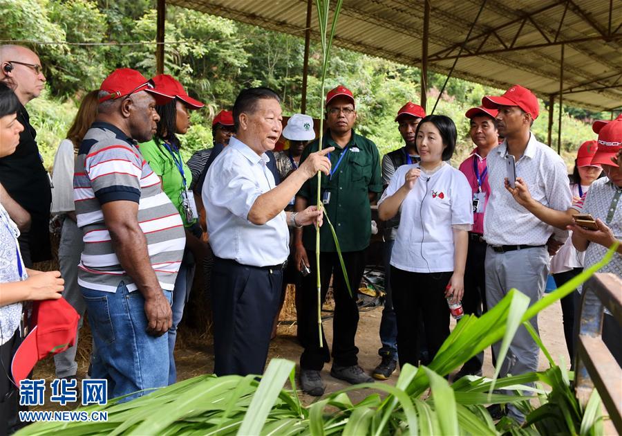 （不忘初心、牢記使命·圖文互動(dòng)）（5）拳拳寸草心 濃濃報(bào)國(guó)情——記“菌草之父”林占熺