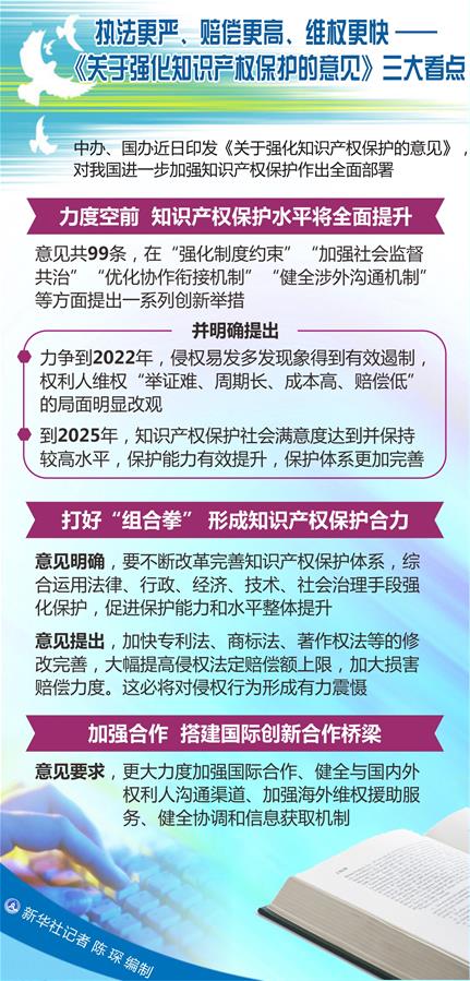 （圖表）[新華調(diào)查]執(zhí)法更嚴(yán)、賠償更高、維權(quán)更快——《關(guān)于強(qiáng)化知識產(chǎn)權(quán)保護(hù)的意見》三大看點(diǎn)