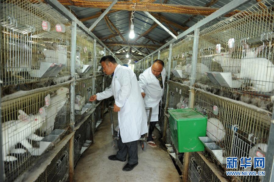 （新華全媒頭條·圖文互動）（4）干部去哪兒了？——貴州干部大規(guī)模下沉脫貧攻堅一線紀實