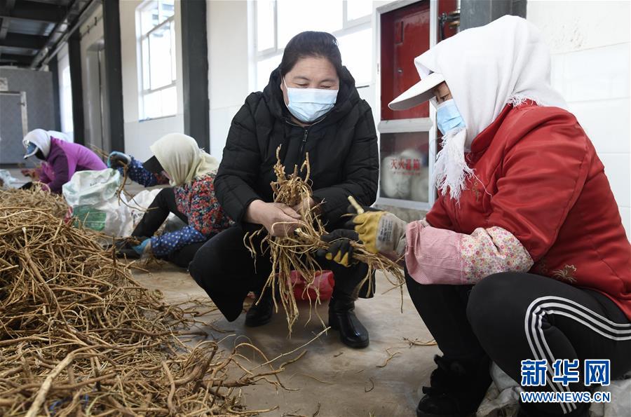 （新華全媒頭條·圖文互動）（2）特殊時期，他們這樣履職——全國人大代表這個春天在行動