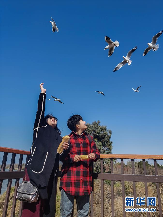 （一線抗疫群英譜·圖文互動(dòng)）（1）大學(xué)生志愿者譚藝西：在武漢，我和媽媽共戰(zhàn)“疫”