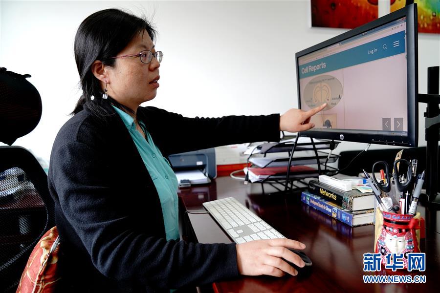 （圖文互動）（1）攻擊行為如何被大腦控制？科學家在小鼠大腦中發(fā)現(xiàn)“調節(jié)開關”