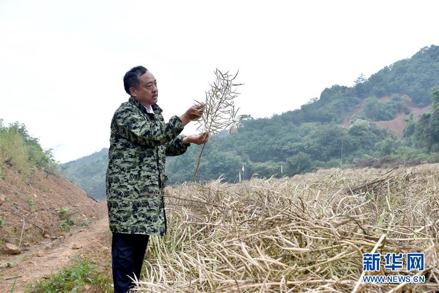 （代表委員履職·圖文互動(dòng)）（1）“我是農(nóng)民代表，始終關(guān)注農(nóng)村”——全國(guó)人大代表沈昌健的履職故事