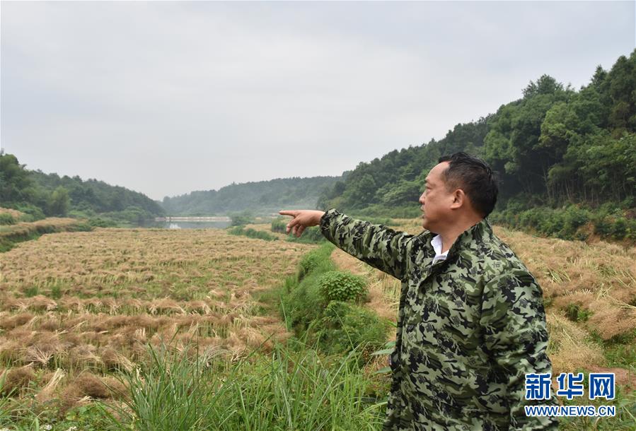 （代表委員履職·圖文互動(dòng)）（2）“我是農(nóng)民代表，始終關(guān)注農(nóng)村”——全國(guó)人大代表沈昌健的履職故事