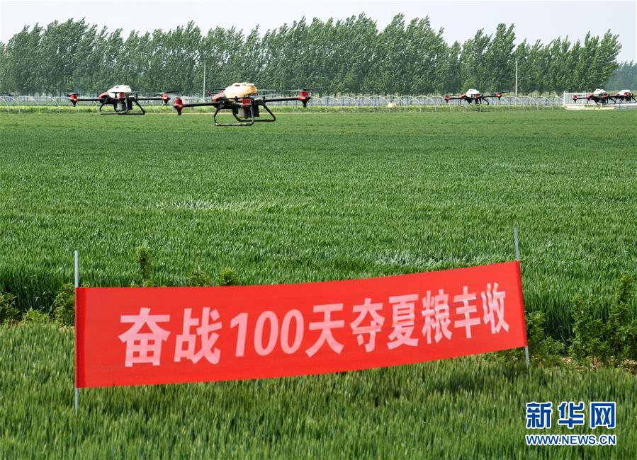 （在習(xí)近平新時(shí)代中國(guó)特色社會(huì)主義思想指引下——新時(shí)代新作為新篇章·習(xí)近平總書記關(guān)切事·圖文互動(dòng)）（9）新農(nóng)事、新希望——夏收前田間新動(dòng)態(tài)掃描