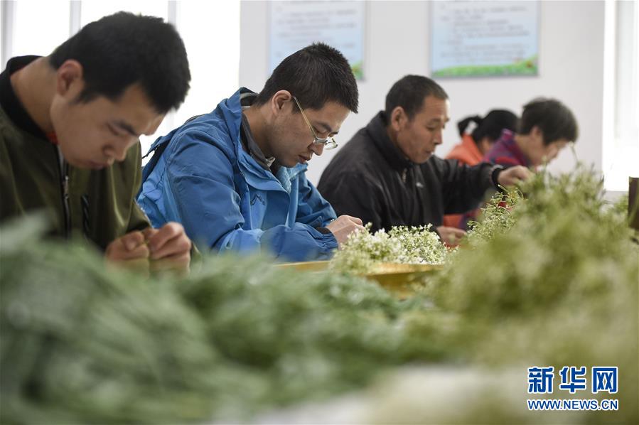（在習(xí)近平新時(shí)代中國特色社會主義思想指引下——新時(shí)代新作為新篇章·習(xí)近平總書記關(guān)切事·圖文互動）（5）六盤山下的誓言——來自寧夏的脫貧故事