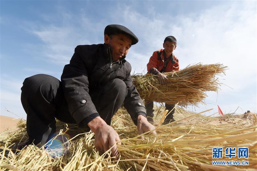 （在習(xí)近平新時(shí)代中國(guó)特色社會(huì)主義思想指引下——新時(shí)代新作為新篇章·習(xí)近平總書(shū)記關(guān)切事·圖文互動(dòng)）（5）綠色映底蘊(yùn)，山水見(jiàn)初心——生態(tài)優(yōu)先、綠色發(fā)展持續(xù)造福群眾美好生活