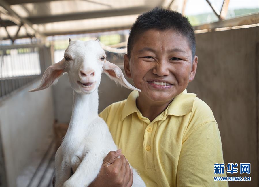 （新華全媒頭條·走向我們的小康生活·圖文互動）（5）特殊之年，荊楚大地書寫不平凡的答卷