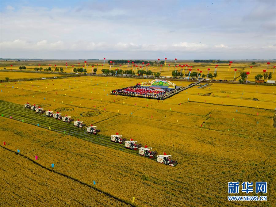 （新華全媒頭條·圖文互動(dòng)）（16）奮斗結(jié)碩果，再寫新篇章——寫在共和國71周年華誕之際