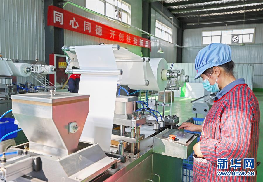 （在習近平新時代中國特色社會主義思想指引下——新時代新作為新篇章·習近平總書記關切事·圖文互動）（2）“綠色銀行”發(fā)工資、“股東”分紅來敲門……——探索長效脫貧致富新機制見聞