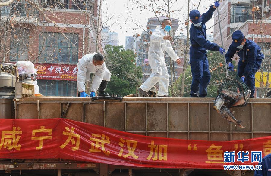 （新華全媒頭條·圖文互動）（12）從人民中汲取磅礴力量——習(xí)近平總書記同出席2020年全國兩會人大代表、政協(xié)委員共商國是紀(jì)實