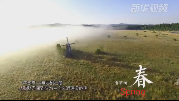 塞罕壩：那一抹綠色，走進越來越多人心里