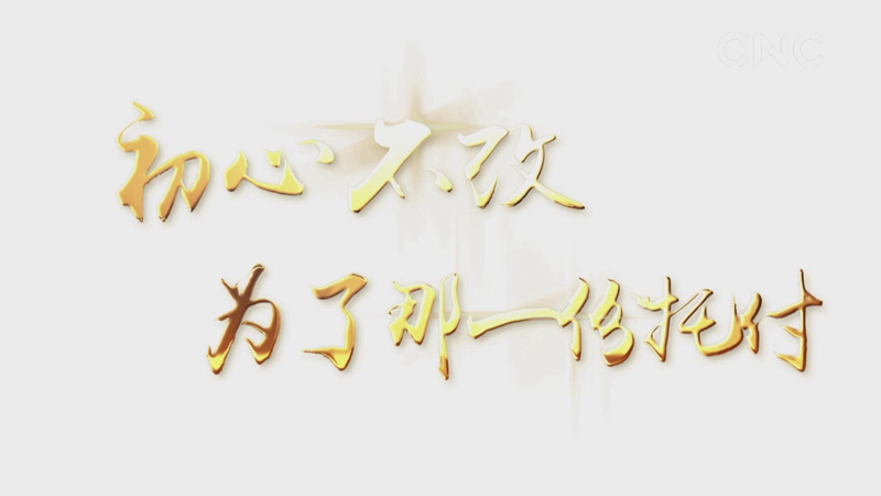初心不改，為了那一份托付