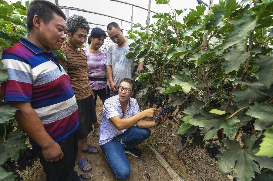從貧困戶(hù)到種植能手