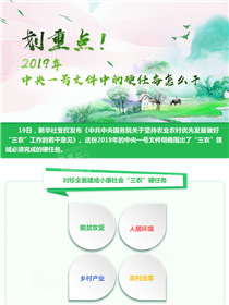 劃重點(diǎn)！2019年中央一號(hào)文件中的硬任務(wù)怎么干