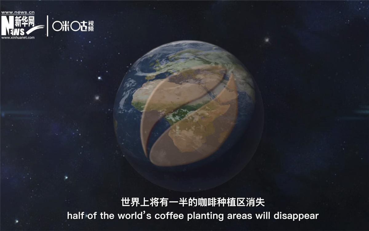 科學(xué)家預(yù)測到三十年后，世界上將有一半的咖啡種植區(qū)消失