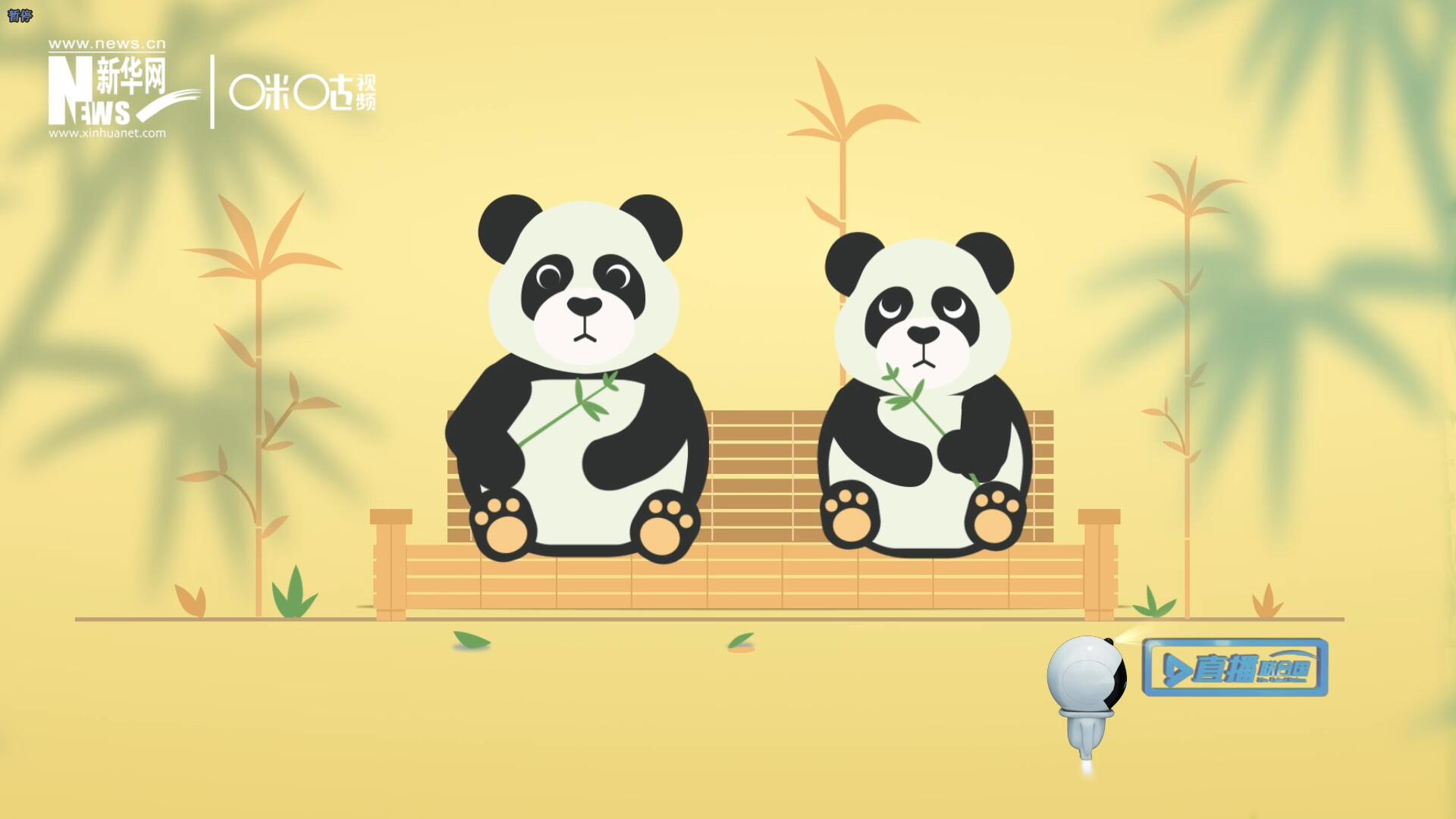 “哥哥你看，又有人來看我們了。”“有什么奇怪的，我們可是聯(lián)合國‘最萌’的大使啊！”。