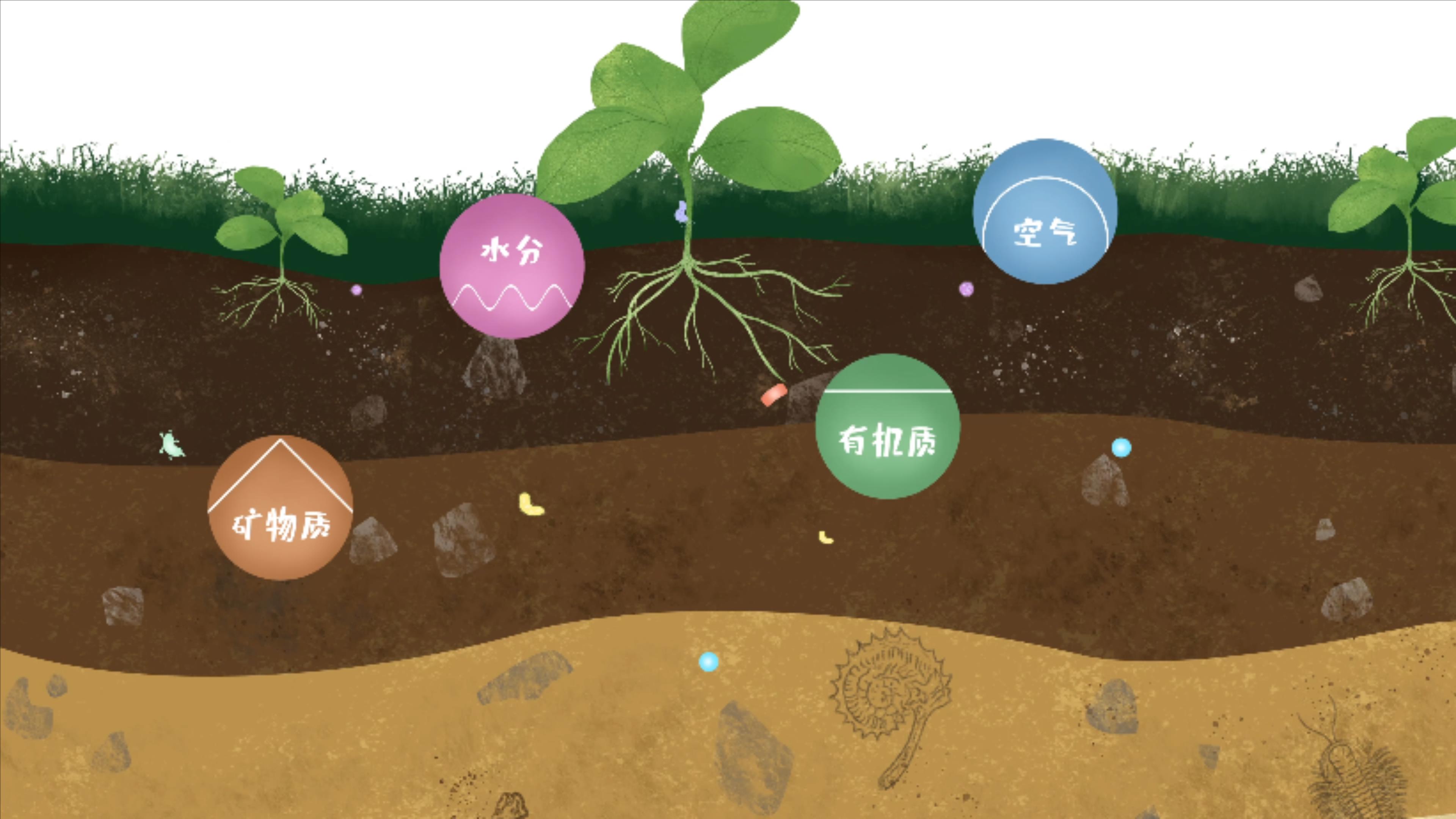 土壤由礦物質(zhì)、有機(jī)質(zhì)、水分、空氣及包括微生物在內(nèi)的生物體等組成