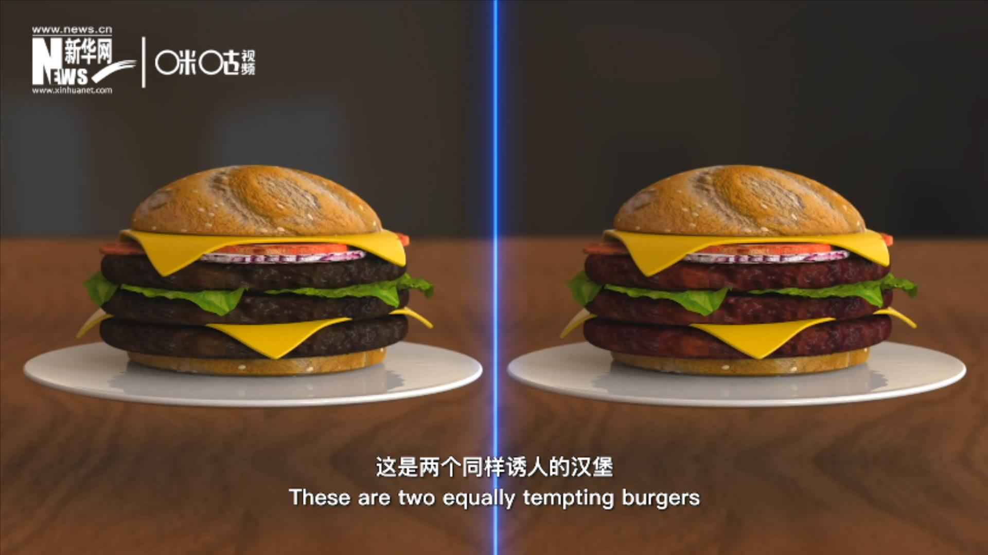 人造肉漢堡能在生產(chǎn)過程中節(jié)約水、土地、排放以及能量