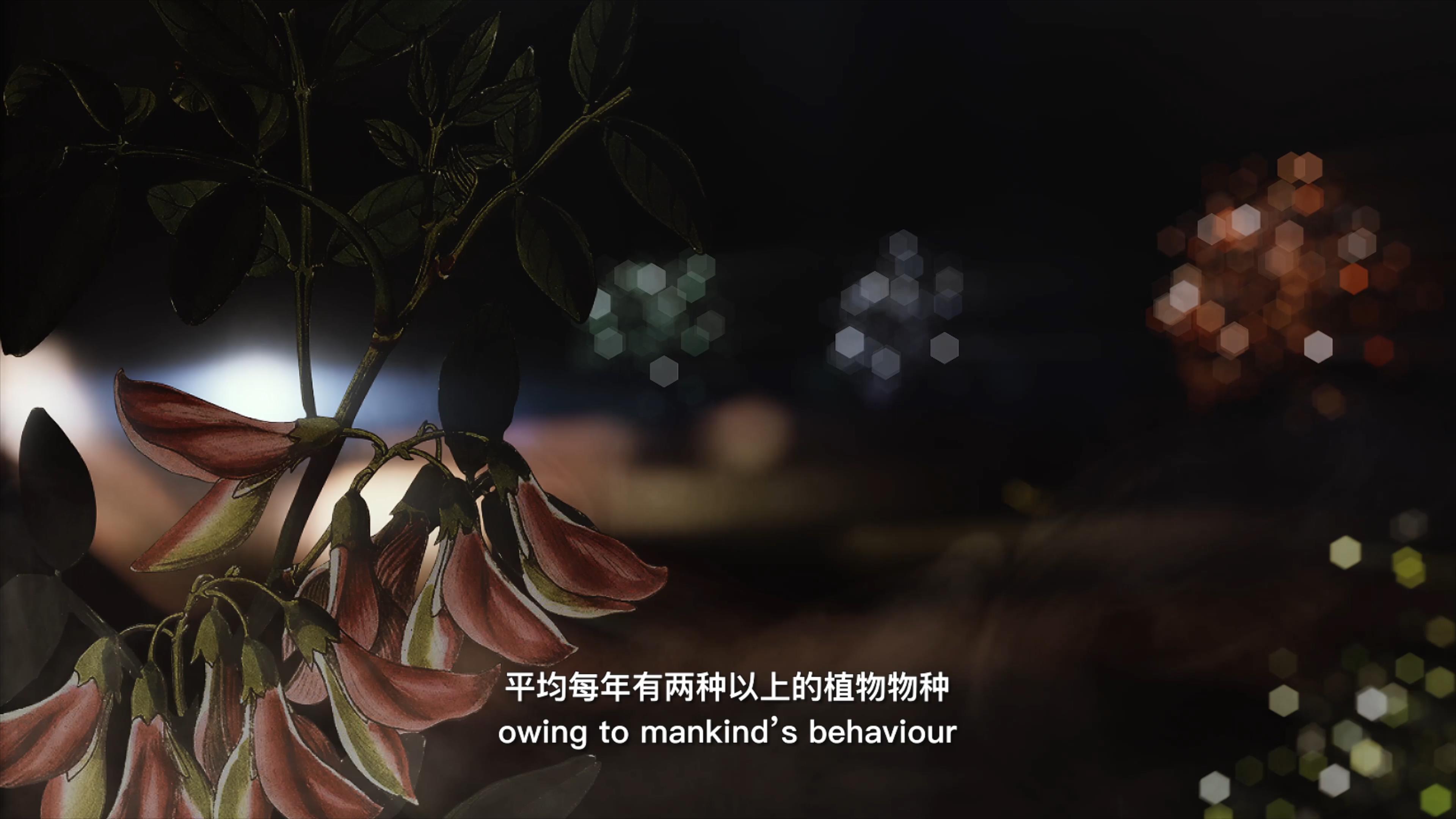 自18世紀(jì)中葉以來，許多植物物種因為人類的原因而從地球上消失