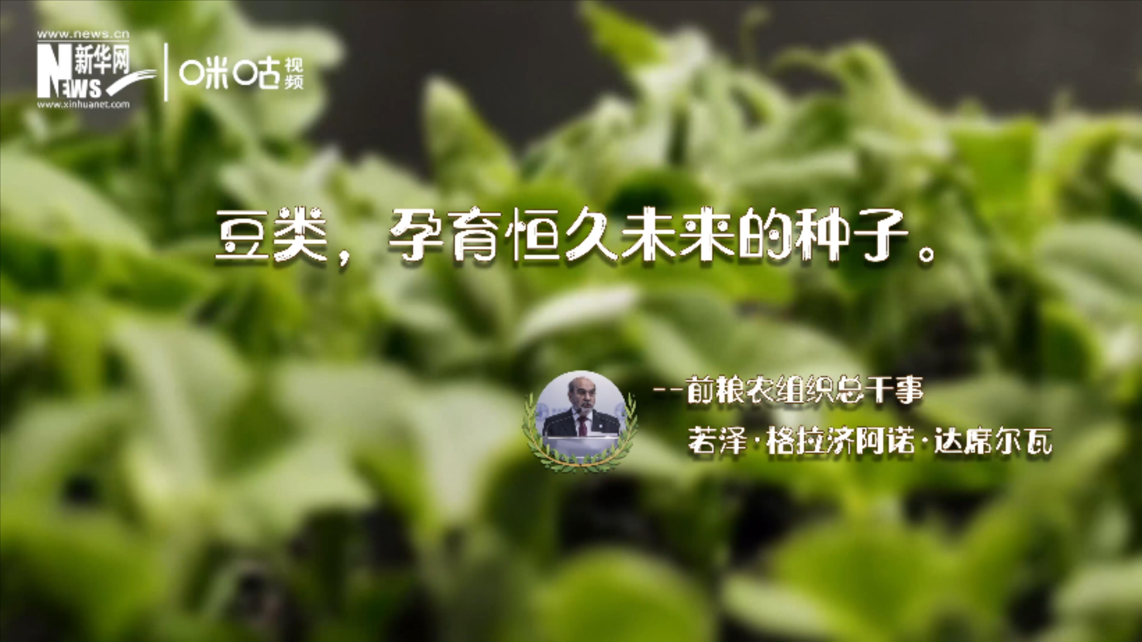 豆類，孕育恒久未來(lái)的種子