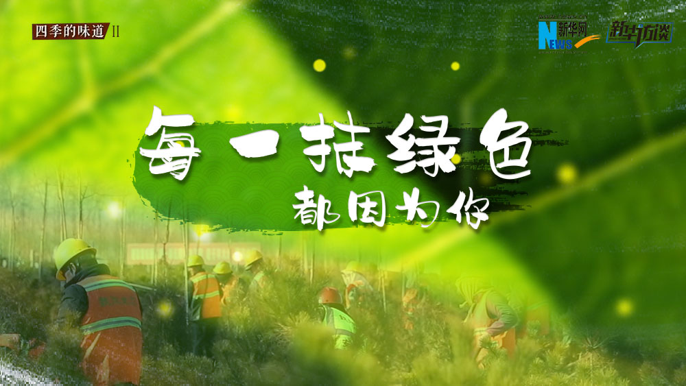 千年秀林，每一抹綠色都因?yàn)槟? /></p>
<p class=
